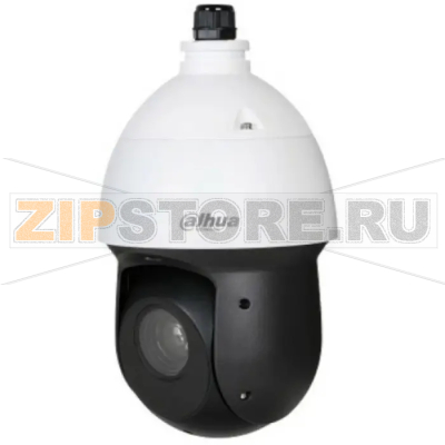IP-камера поворотная Dahua DH-SD49225XA-HNR-S3 