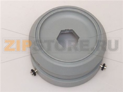 TESTATA TRASCINAMENTO 