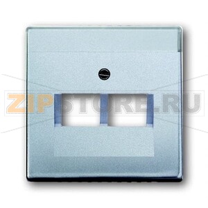 Накладка для двухпостовой розетки с полем для надписи, серебристый алюминий ABB 2CKA001710A3610 