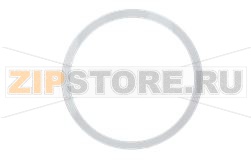 INTERNAL DOOR FOR WASHING MACHINE 