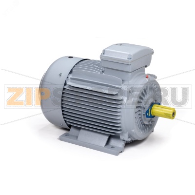 Электродвигатель 22 кВт, 380/660 В, 3000 об/мин, IP55 ESQ 01.05.02.000023 