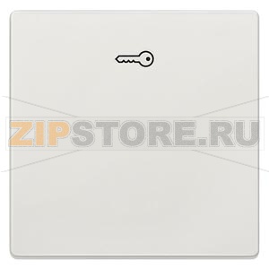 DELTA STYLE КЛАВИША ДВЕРЬ ПЛАТИНОВЫЙ МЕТАЛЛИК Siemens 5TG7148-1 