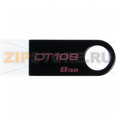 Накопитель USB 8 Гб Kingston DT109S-8GBZ 