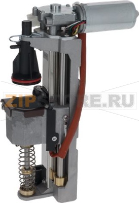 ASSIEME GRUPPO EROGAZIONE 