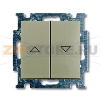 Выключатель двухклавишный, однополюсный, шампань ABB 2CKA001012A2166