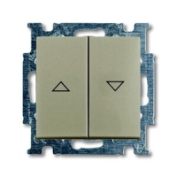 Выключатель двухклавишный, однополюсный, шампань ABB 2CKA001012A2166