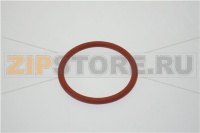 GUARNIZIONE RESISTENZA NSF