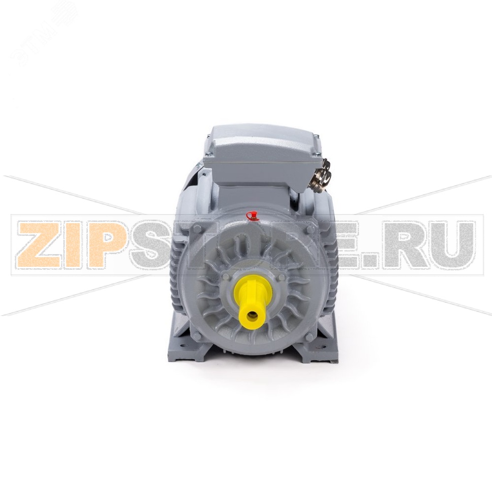 Электродвигатель 3 кВт, 220/380 В, 1500 об/мин, IP55 ESQ 01.05.02.000043 