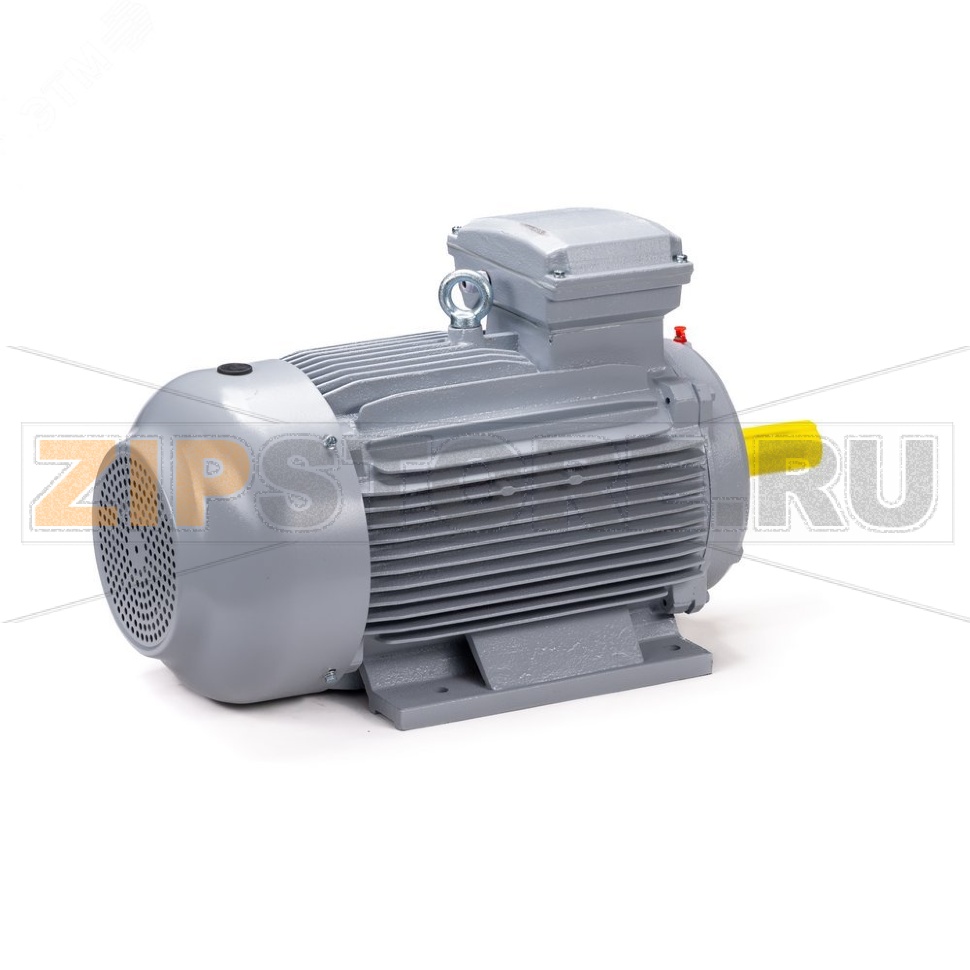 Электродвигатель 3 кВт, 220/380 В, 1500 об/мин, IP55 ESQ 01.05.02.000043 