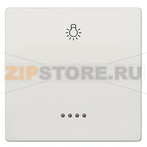 DELTA STYLE ТИТАНОВО-БЕЛЫЙ ВЫКЛЮЧАТЕЛЬ 1 КЛАВИША С ОКНОМ И СИМВОЛОМ &quot;СВЕТ&quot; 68Х68ММ Siemens 5TG7146 