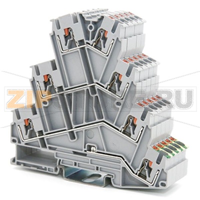 Клемма проходная/заземляющая Push-in, серая CHIKU RPV 2,5-PE/3L 