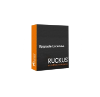 Лицензия Ruckus 909-0250-ZD00