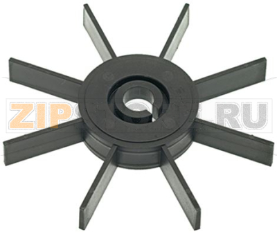 LOWER STAR 