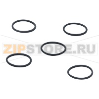 O-кольцо IFM E30053