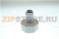 1/4 X 3/4 BSP Term.Diritto Fil. Femmina