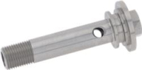 PERFORATED SCREW
