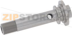 PERFORATED SCREW 
