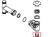 Gasket ø30 - ø21 Angelo Po FX101E3