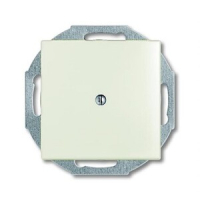 Заглушка с суппортом ABB 2CKA001715A0316