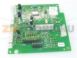 SCHEDA CPU PROFESSIONAL ITA 62 