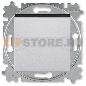 Переключатель кнопочный, одноклавишный, серебряный ABB 2CHH598645A6070 