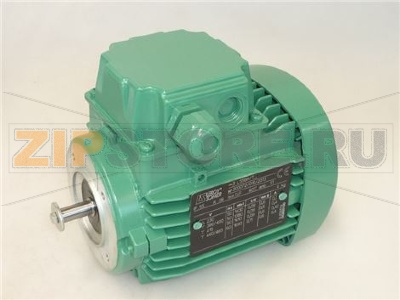 MOTORE TRIFASE LS56M/T 