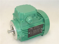 MOTORE TRIFASE LS56M/T