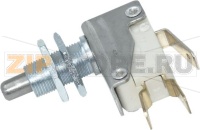 MICROSWITCH W/PIN M10 16A-250V