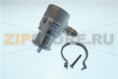 ST.STEEL FLUID O TECH PUMP 300Lt. W/OUT 