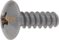 Screw 4,2 X 12 B.Prof.Tronca