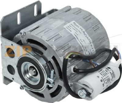MOTOR TYPE C 220V/50HZ 