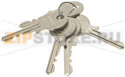 CHIAVE D&#039;USO ARGENTO AJ442H 