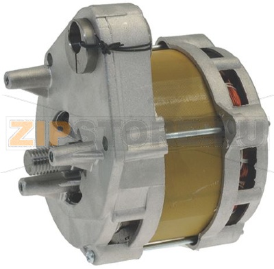 MOTOR WITH ECCENTRIC 230V 50Hz 