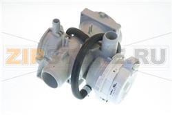 Pump Assembly,Drain 