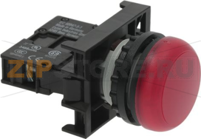 Control lamp complete   red 