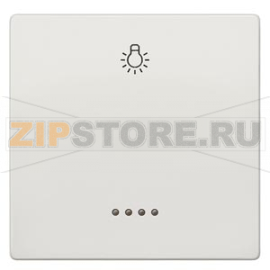 DELTA STYLE КЛАВИША С ОКНОМ LIGHT ПЛАТИНОВЫЙ МЕТАЛЛИК Siemens 5TG7146-1 