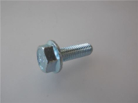 VITE T.E. M8x25 mm ZINCATA