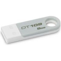 Накопитель USB 8 Гб Kingston DT109W-8GB