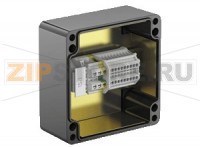 Взрывозащищённая коробка Terminal Junction Boxes Glass Fiber Reinforced Polyester (GRP) GL***.T Pepperl+Fuchs