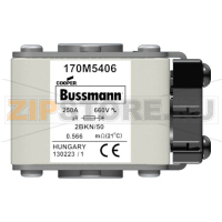 Предохранитель, 250 A, AC 660 В, 125 кА, size 2, 59x59x77 мм, aR, IEC UL Eaton FUSE 250A 660V