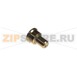 PILOT INJECTOR NG 
