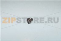 TOR.PLA.DIN85 INOX A2-70 M4X 6