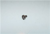 TOR.PLA.DIN85 INOX A2-70 M4X 6