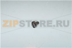 TOR.PLA.DIN85 INOX A2-70 M4X 6 