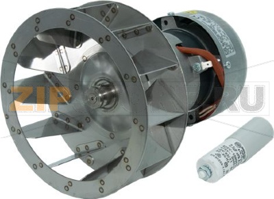 ЭЛЕКТРОДВИГАТЕЛЬ 1074 75 ВТ, 224 В 