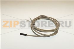 SONDA NTC GRIGIO 1500mm IP68 