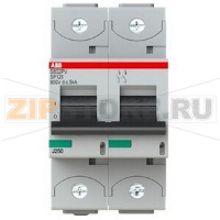 Выключатель автоматический двухполюсный, S802PV-SP125 ABB 2CCF019608R0001