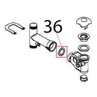 Siphon gasket Angelo Po FX61E1
