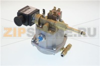 CALDAIA 200CC 230V-50HZ-INOX-