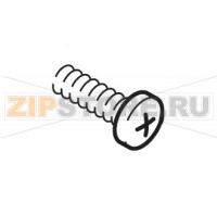 Panelvit TCB 3,0x12 DIN 7505 B ZNP Saeco Royal Digital